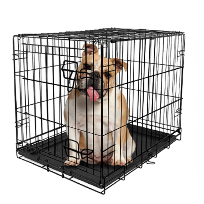 Vibrant Life, Single-Door Folding Dog Crate with Divider, Large, 36"