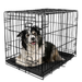 Vibrant Life, Single-Door Folding Dog Crate with Divider, Large, 36"