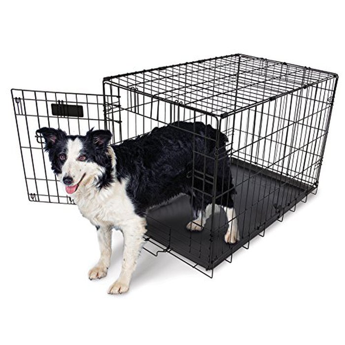 Aspen Pet Wire Home Training Dog Kennel, 30"W x 19.5"D x 22.5"H