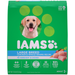 IAMS Adult High Protein Large Breed Dry Dog Food with Real Chicken, 30 Lb. Bag