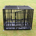 Heavy Duty Dog Crate with Tray, Black, Large, 42"L