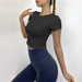 SALSPOR Casual Women Sport Shirts Yoga Short Sleeve Gym High Elastic Workout T Shirts Running Fitness Sport Tops 12 Color