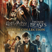 Wizarding World 10-Film Collection (20Th Anniversary) (DVD)