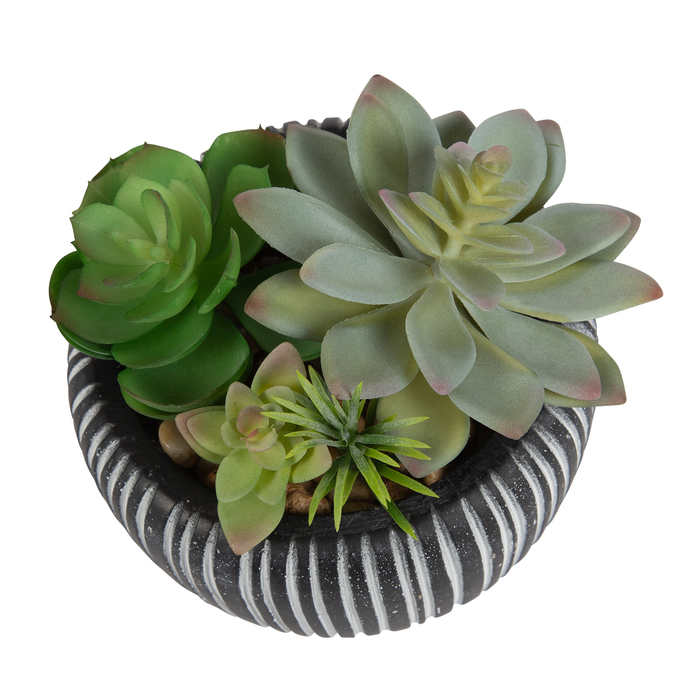 Better Homes & Gardens 4.72" H Artificial Succulent Plant in Stone Pot, Multi-Color