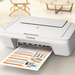 Canon PIXMA MG2522 Wired All-In-One Color Inkjet Printer