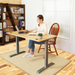 Flexispot 48"X24" Erogonomic Home Office Height Adjustable Standing Desk Curved Bamboo Desktop Gray Frame
