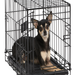MidWest Homes For Pets Double Door iCrate Metal Dog Crate, 42"