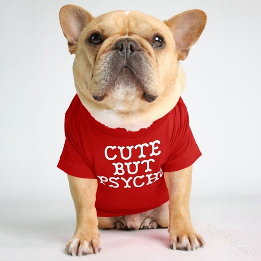 Bulldog Turtleneck round Neck Dog Shirts Bichon Pet Clothes Teddy Small and Medium Puppy Cat Pullover Dog Clothing