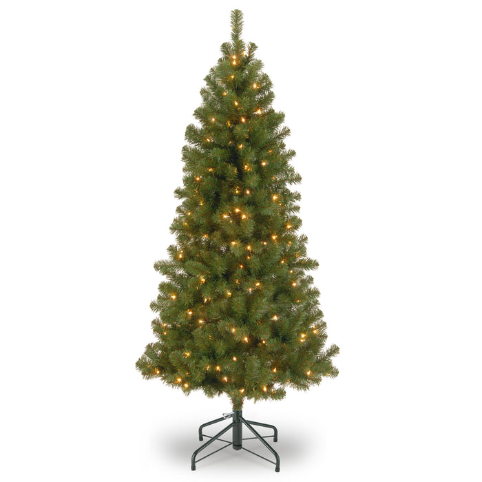 6 ft. Canadian Grande Fir Tree with Clear Lights