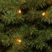 6 ft. Canadian Grande Fir Tree with Clear Lights